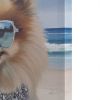 Pomeranian Canvas Wall Art